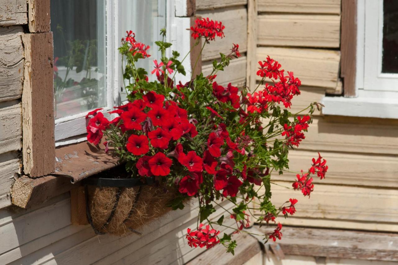 Pihtla Village Apartment Dış mekan fotoğraf
